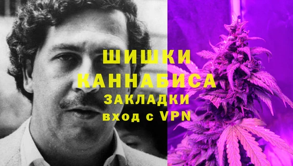 apvp Аркадак