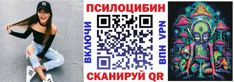 Галлюциногенные грибы Psilocybe  купить наркоту  Барыш 